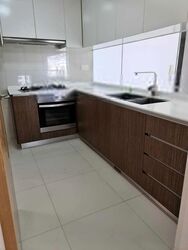 The Lakefront Residences (D22), Condominium #390223831